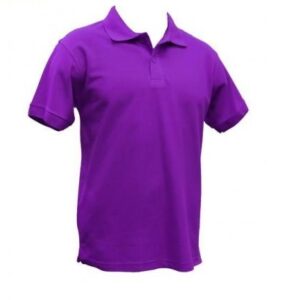 Read more about the article Softex Polo Shirt Alternative – Tagum City