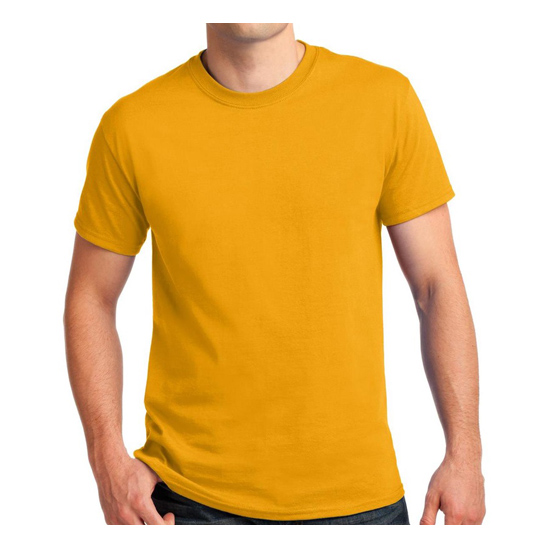 Gildan Premium Alternative - Orlando T-Shirt Tagum City