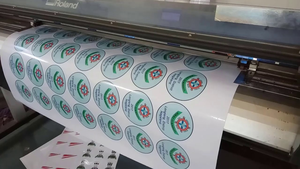 Read more about the article Vinyl Sticker Printing – Tagum City