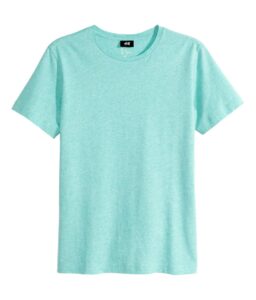 Read more about the article Mint Green Plain T-Shirt – Tagum City