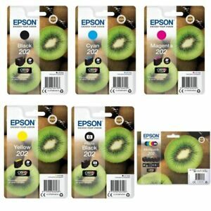Read more about the article Epson Kiwi Inks – Tagum City