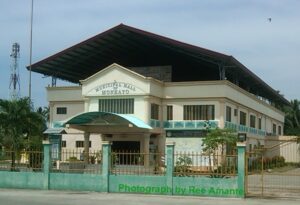 Read more about the article Municipality of Monkayo – Davao De Oro