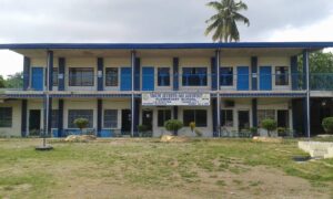 Read more about the article Elementary School in Tagum City