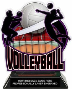 Read more about the article Volleyball Trophy – Tagum City