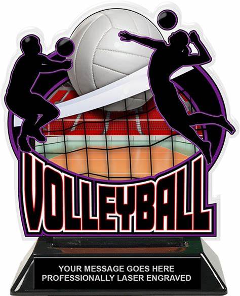 You are currently viewing Volleyball Trophy – Tagum City