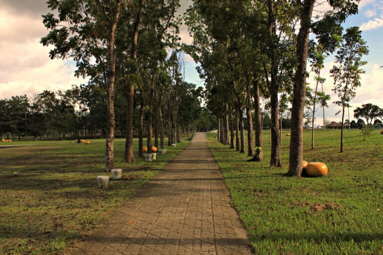 Energy Park – Tagum City