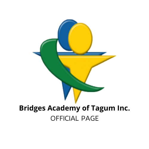 Read more about the article Bridges Academy of Tagum