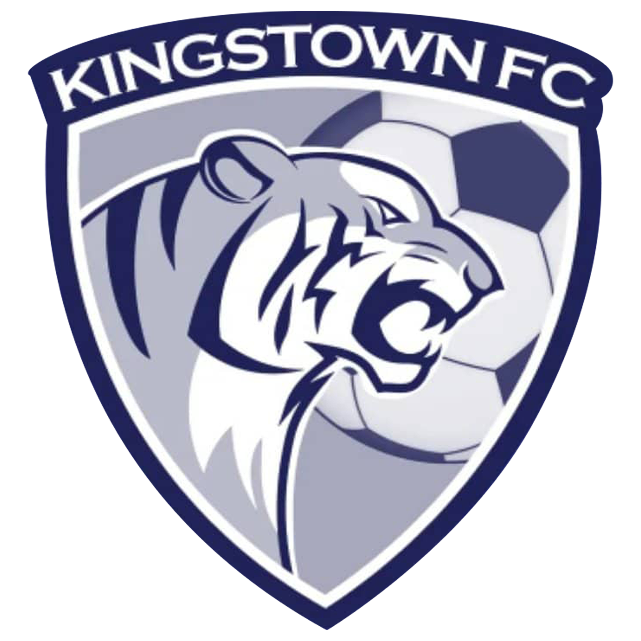 You are currently viewing Kingstown Football Club – Tagum City
