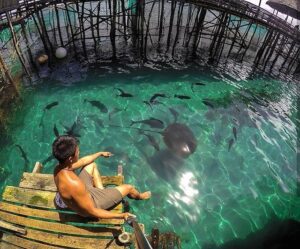 Read more about the article Sibadan Fish Cage – Hinatuan, Surigao Del Sur