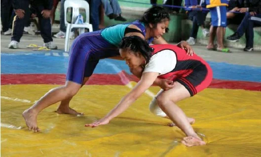 You are currently viewing Wrestling – Tagum City