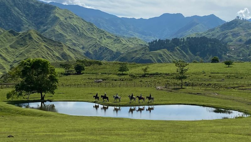 Read more about the article Communal Ranch – Impasugong, Bukidnon