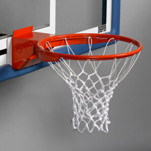 Read more about the article Basketball Ring Net – Tagum City
