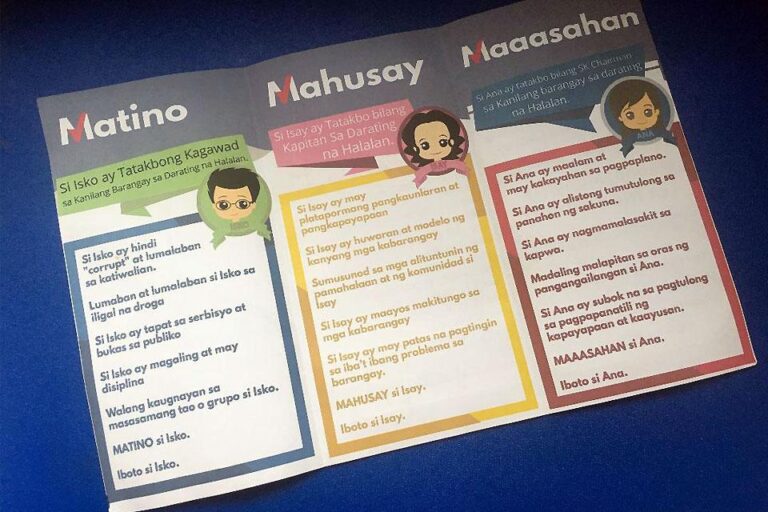 Election Campaign Brochures