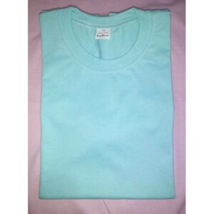 Read more about the article Mint Green Plain Shirt – Davao City