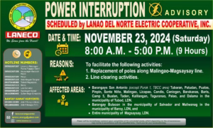 Lanao del Norte Electric Cooperative, Inc. (LANECO): Emergency and Service Hotlines