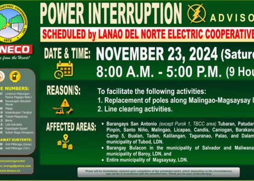 Lanao del Norte Electric Cooperative, Inc. (LANECO): Emergency and Service Hotlines