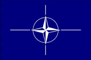 North Atlantic Treaty Organization (NATO)