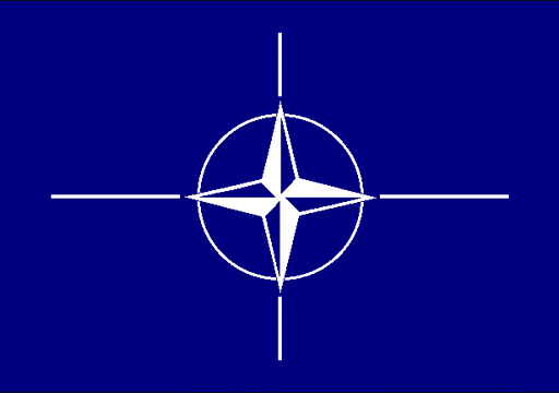 North Atlantic Treaty Organization (NATO)
