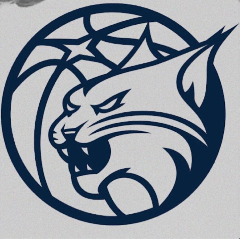 Minnesota Lynx: A Dynasty Defined by Success