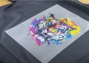 DTF (Direct To Film) T Shirt Printing Process