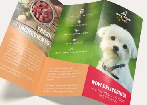 Brochure Maker – Tagum City