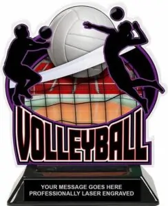 Volleyball Trophy – Tagum City