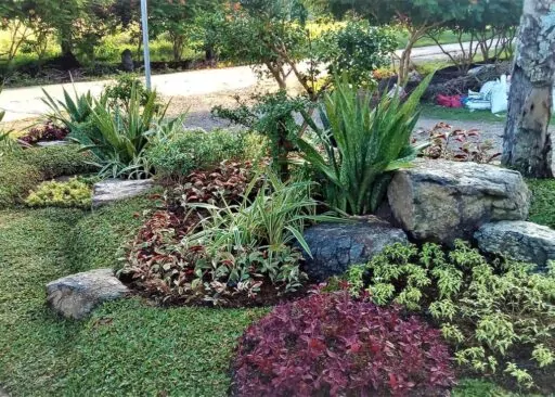 Garden and Landscape Supplier – Tagum City