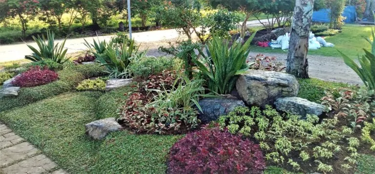 Garden and Landscape Supplier – Tagum City