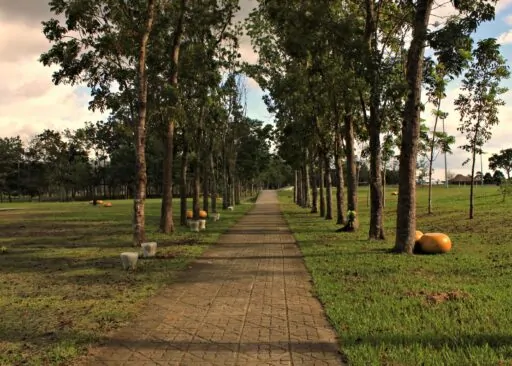 Energy Park – Tagum City