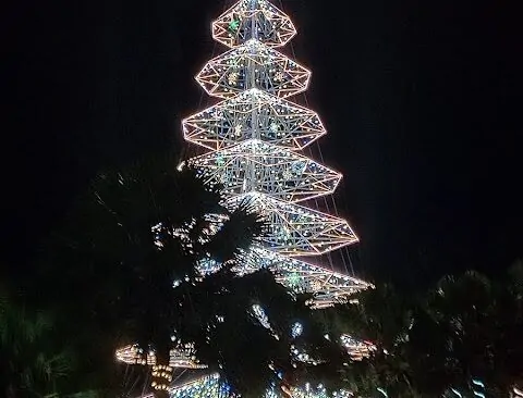 Tallest Christmas Tree – Tagum City