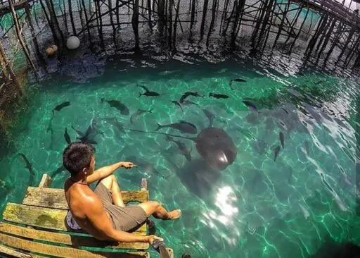 Sibadan Fish Cage – Hinatuan, Surigao Del Sur