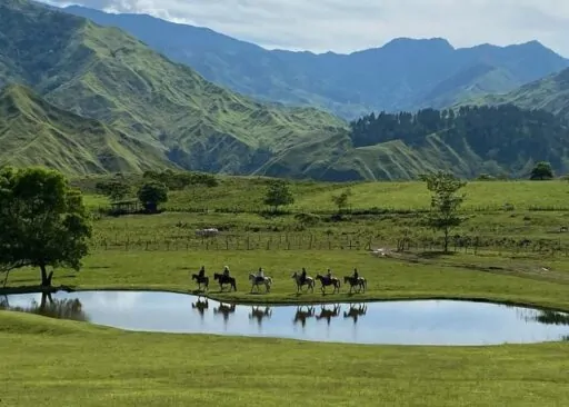 Communal Ranch – Impasug-ong, Bukidnon