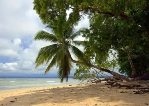 Hagonoy Island – Surigao Del Sur