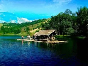 Discovering the Tranquility of Lake Apo in Bukidnon