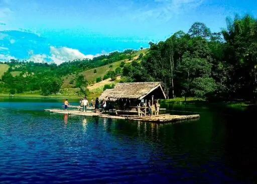 Discovering the Tranquility of Lake Apo in Bukidnon