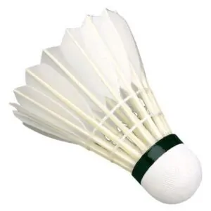 Shuttlecock – Tagum City