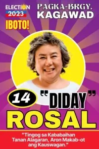 Election Tarpaulin Size – Philippines