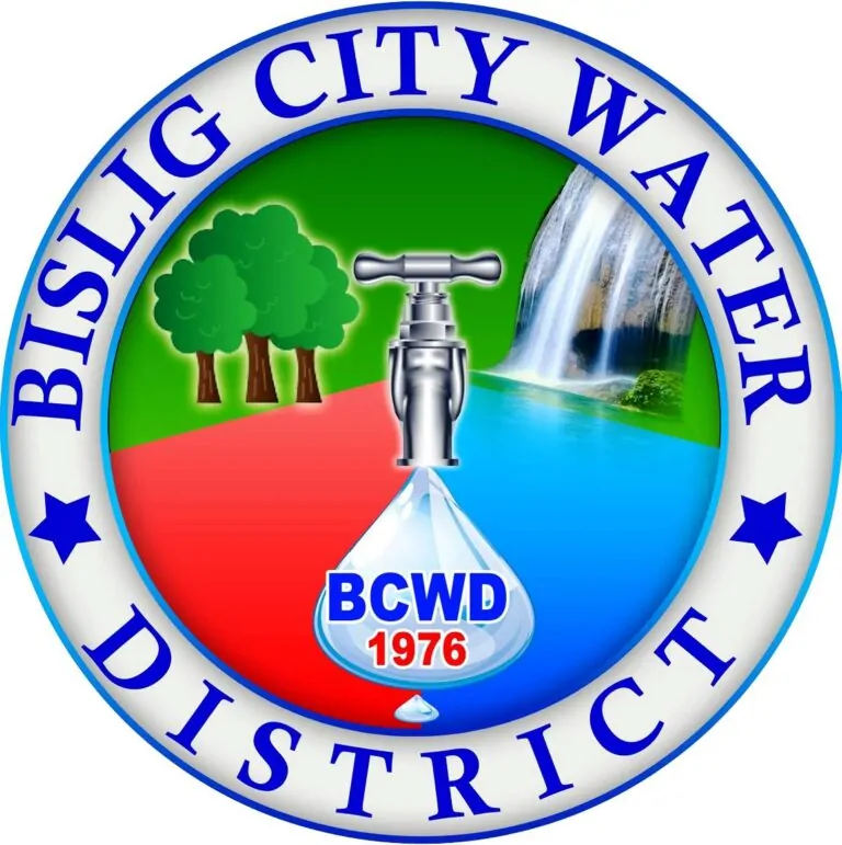 Bislig Water District: Overview and Challenges