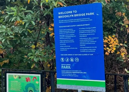 Discover the Timeless Charm of Brooklyn, New York