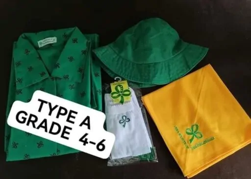 About the Girl Scout Type A Uniform