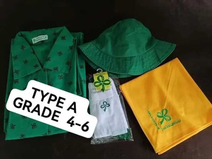 About the Girl Scout Type A Uniform