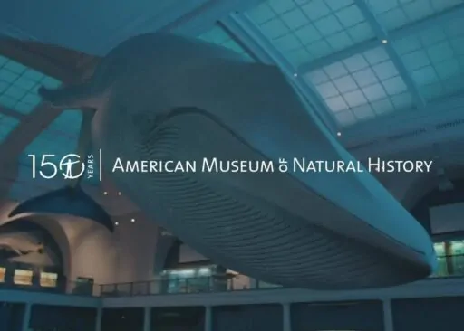 American Museum of Natural History