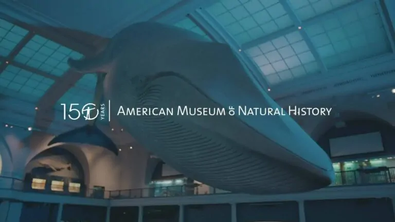 American Museum of Natural History