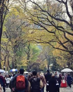 Central Park in New York