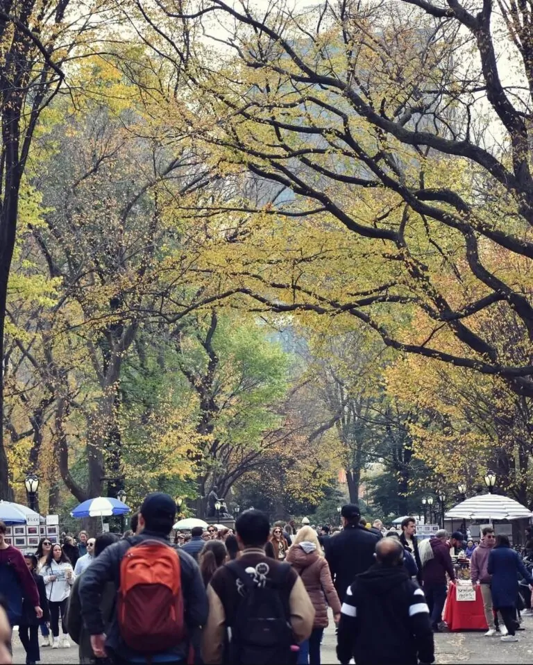 Central Park in New York
