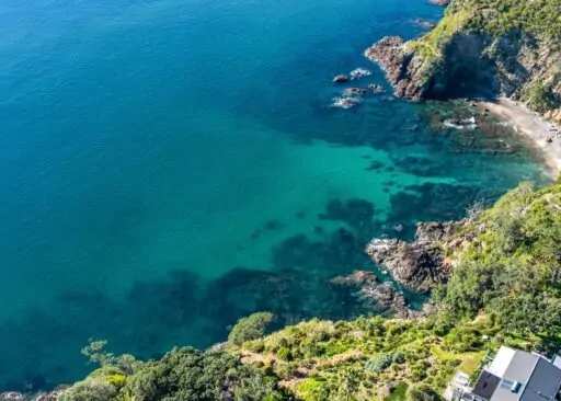 Waiheke Island – Auckland’s Wine, Beach, and Art Paradise