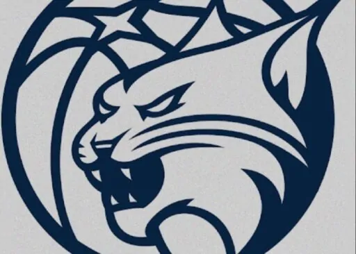 Minnesota Lynx: A Dynasty Defined by Success