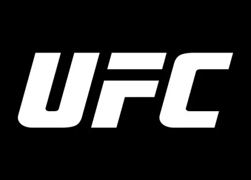 What is the Ultimate Fighting Championship (UFC)?