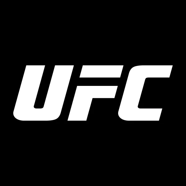 What is the Ultimate Fighting Championship (UFC)?