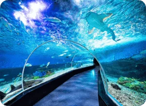 Manila Ocean Park: Oceanarium, Attractions, Tickets, and Visitor Guide